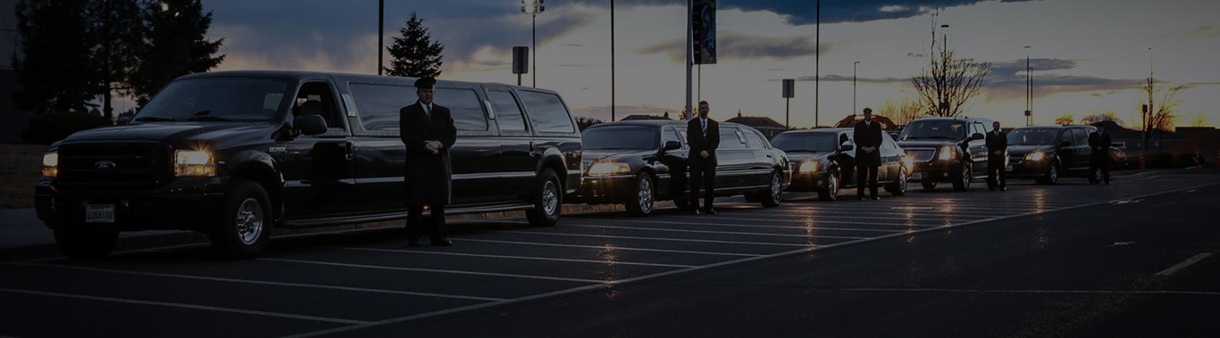 Limos waiting for clients