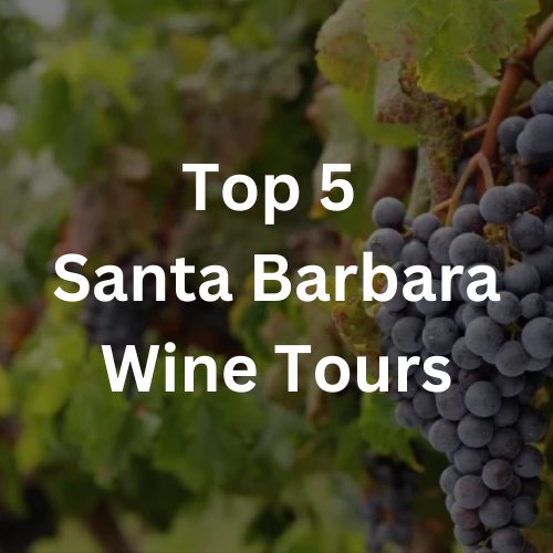 Best-rated wine-tasting tours in Santa Barbara, CA.